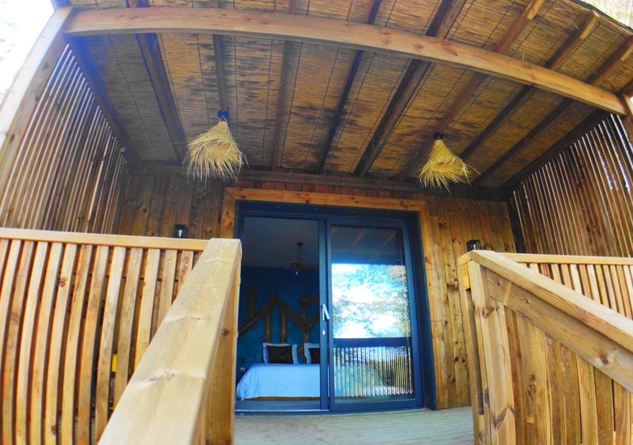 Villa Occitana カルヴィッソン エクステリア 写真